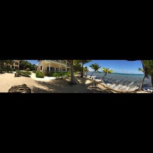 Meet your Posher, Blake